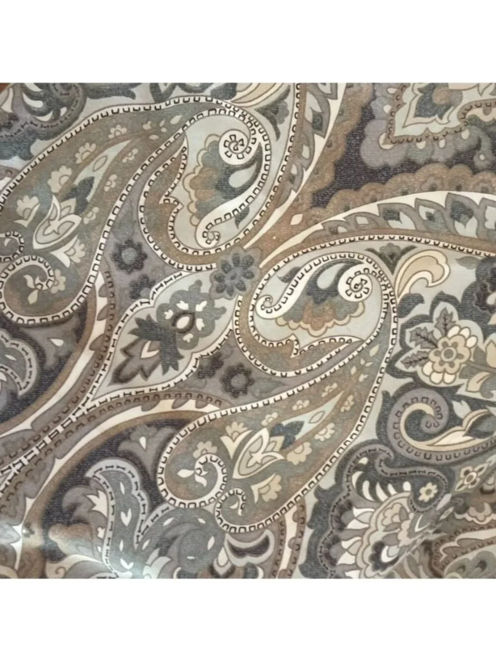2 Pottery Barn McKenna Paisley Quilted King Shams w/Piping Cotton Cottage Core